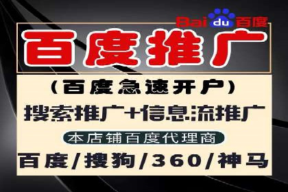 SEM代运营公司案例：实战经验分享